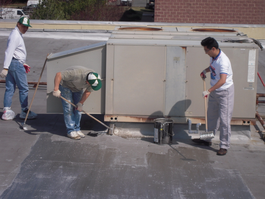 Resized_va roof 009.jpg